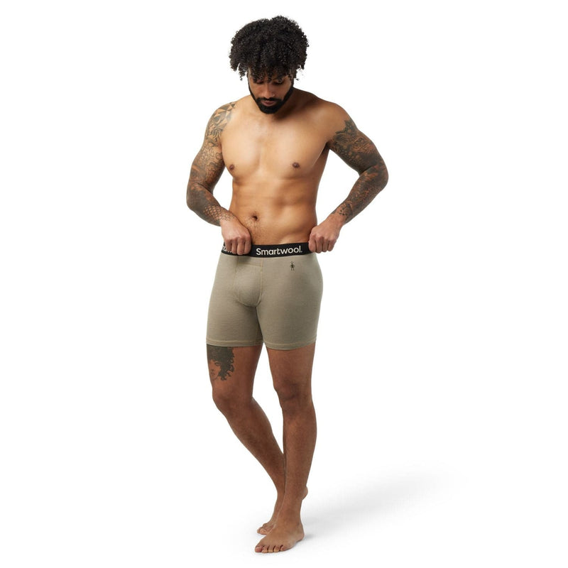 Load image into Gallery viewer, Smartwool Men's Merino Plant-Based Dye Boxer Brief
