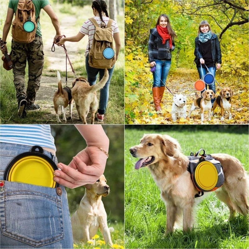 Load image into Gallery viewer, PocoPet Collapsible Travel Dog Bowl
