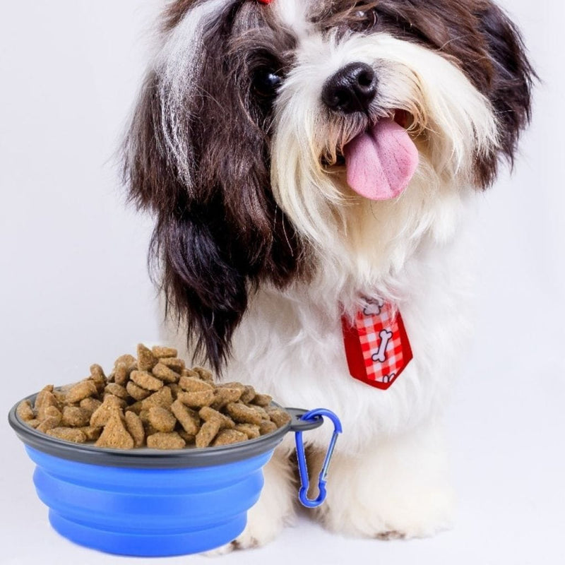 Load image into Gallery viewer, PocoPet Collapsible Travel Dog Bowl
